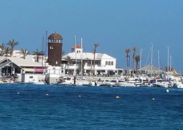 Appartement Sunny & New In